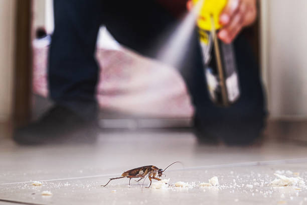 Best Cockroach Control Services  in Ashland, OH