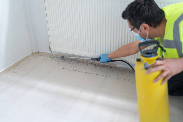 Best Bed Bug Extermination  in Ashland, OH