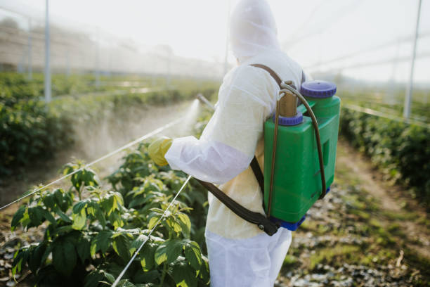 Pest Control Cost in Ashland, OH